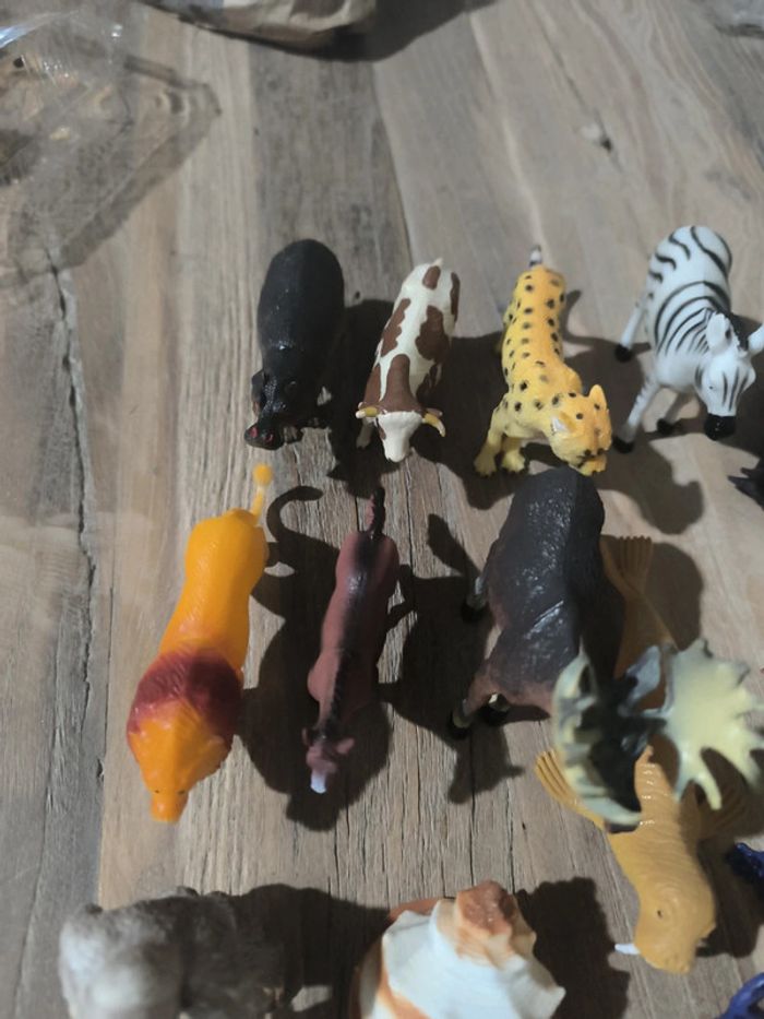 Animaux - photo numéro 5