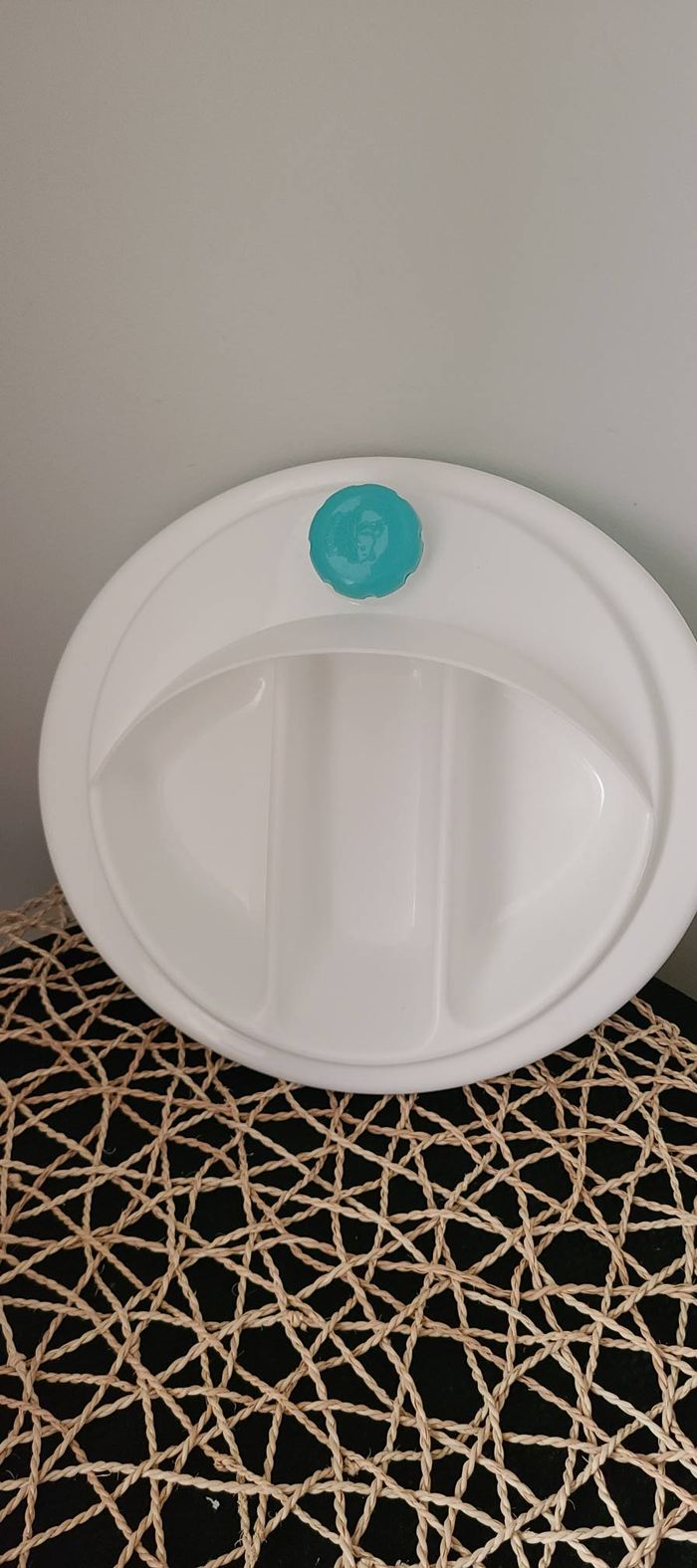 ASSIETTE CHAUFFANTE POUR BEBE - photo numéro 2