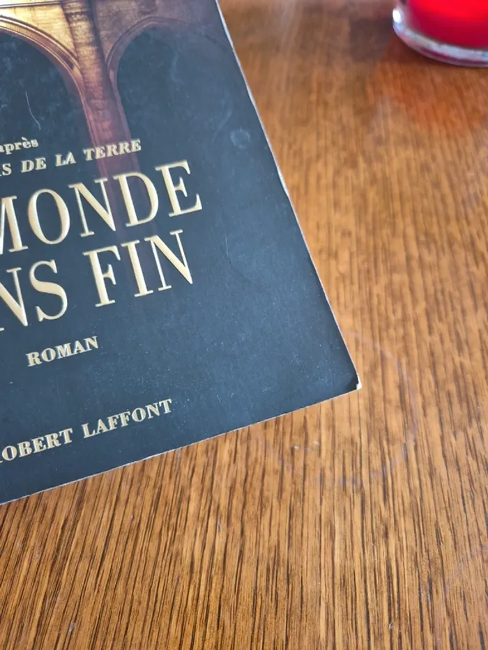 Un monde sans fin de Ken Follett - photo numéro 4