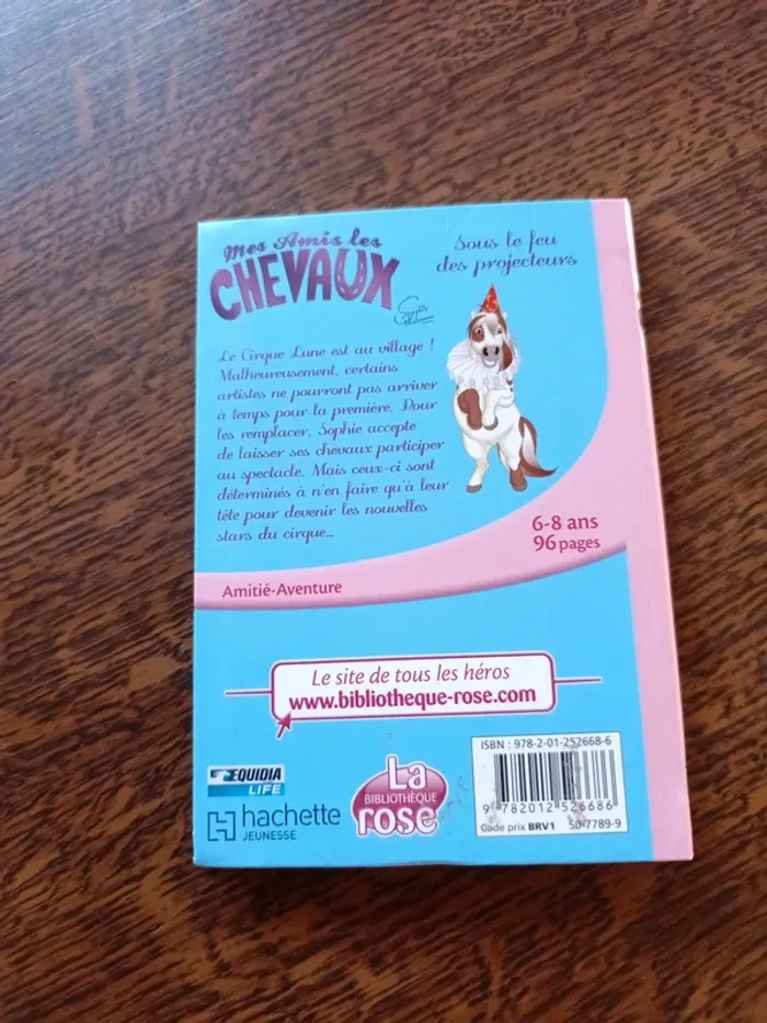 Mes amis les chevaux 9 - photo numéro 2
