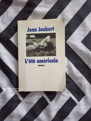 Livre l été américain