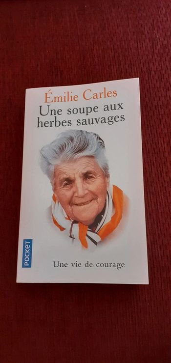 Livre une soupe aux herbes sauvages