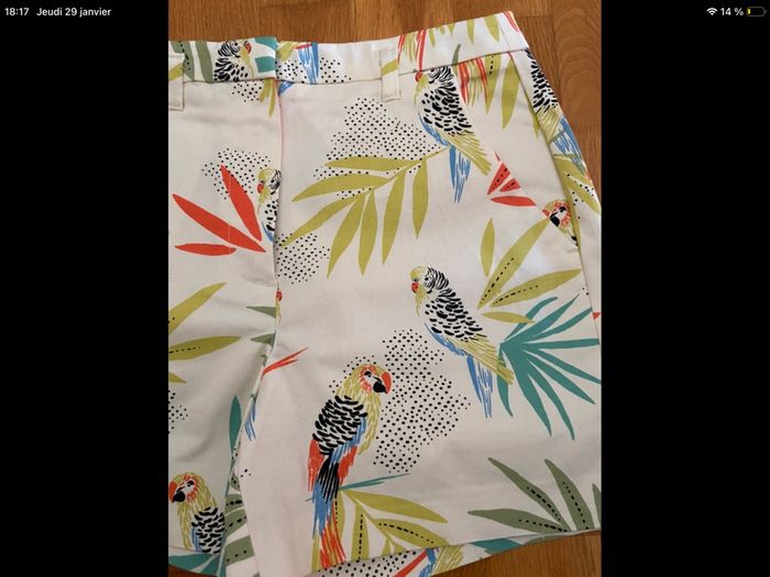 Short perroquet - photo numéro 2