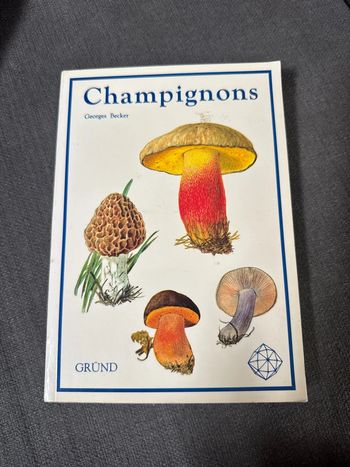 Champignons