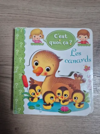Livre C’est quoi ça
