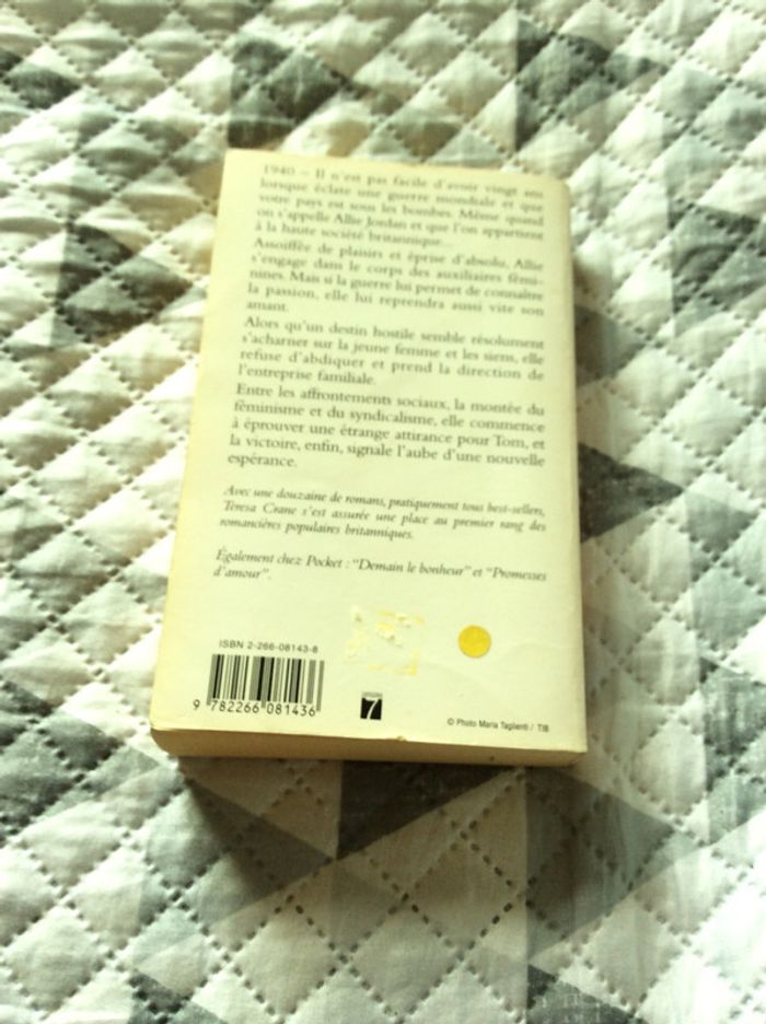 #cet amour si fragile par Teresa Crane - photo numéro 3