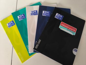 Lot 5 cahiers neufs 21 x 29,7cm 96 pages grands carreaux