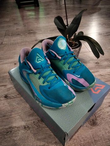 Nike Zoom Freak 4