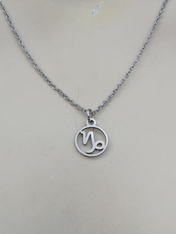 Collier en acier inoxydable argenté signe astrologique capricorne ♑️