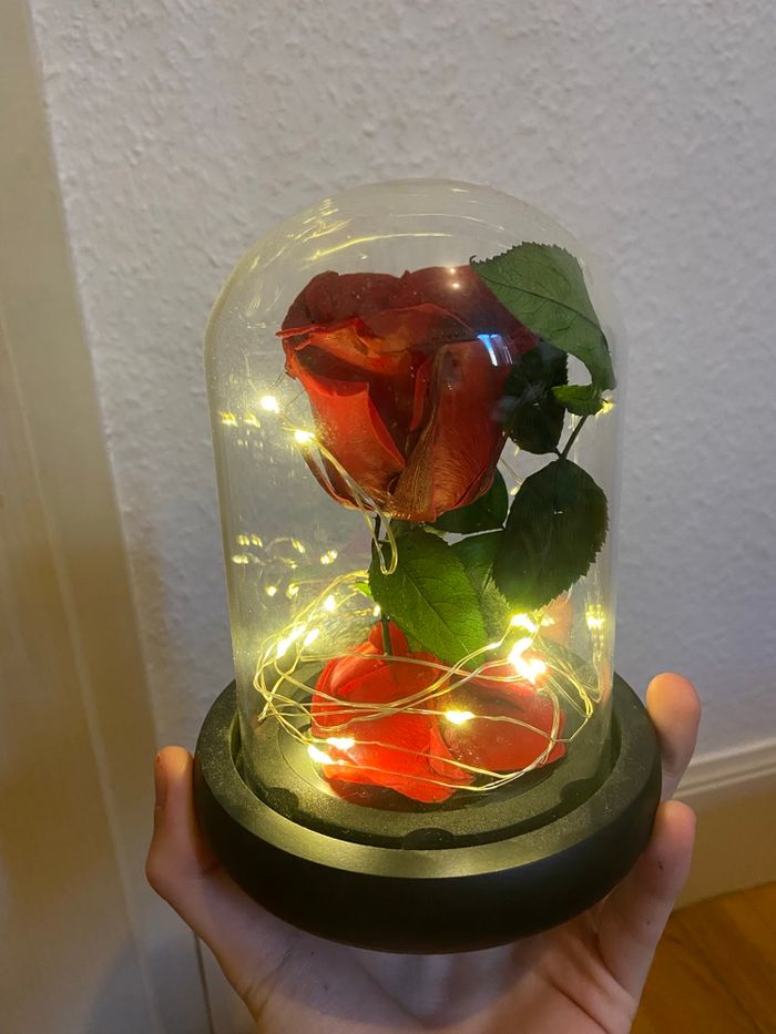 Rose éternelle rouge - photo numéro 2