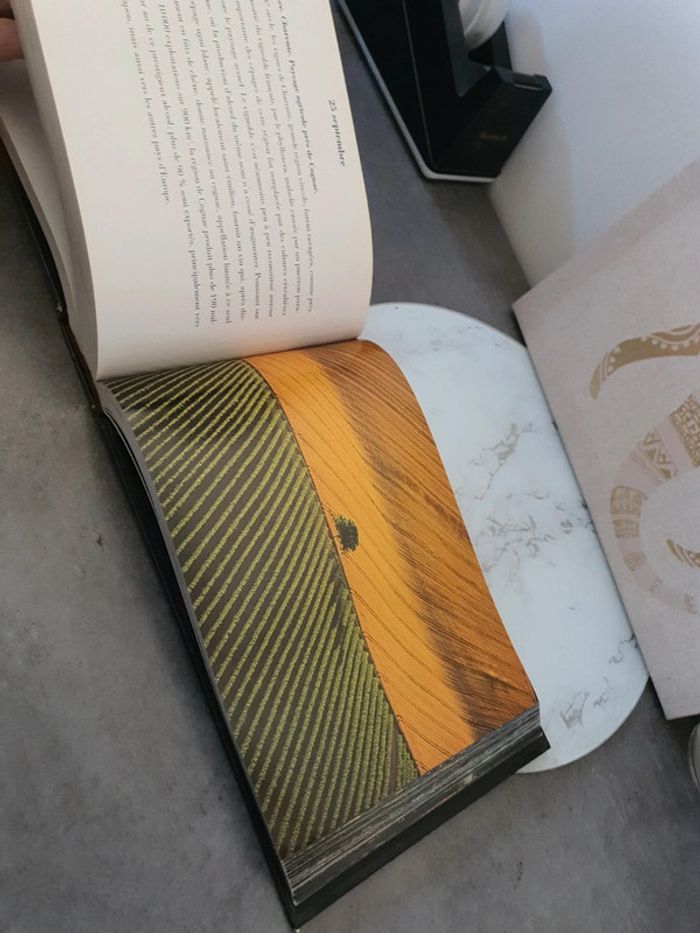 365 jours pour la terre - photo numéro 5