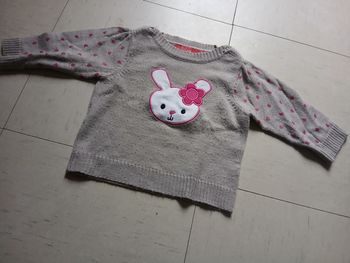 Pull lapin
