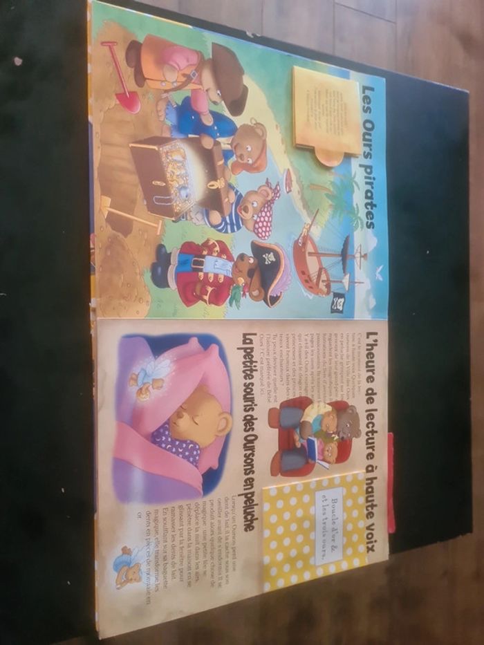 La ville des ours - photo numéro 4