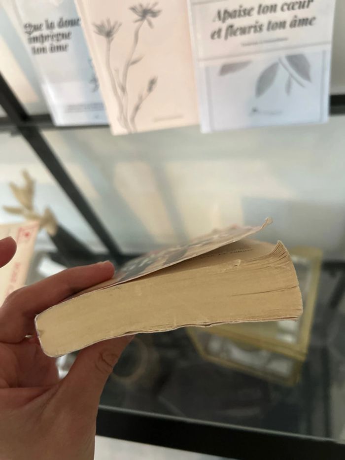 Livre de Marc Levy Elle et lui - photo numéro 4