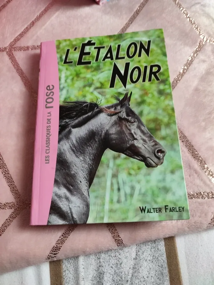 L étalon noir