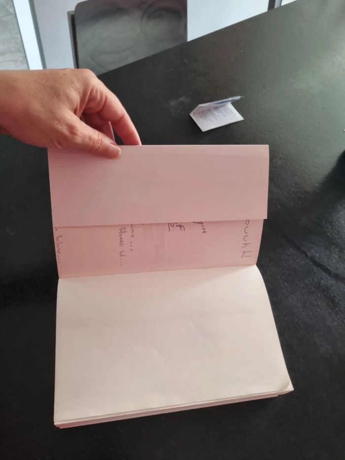L'interprétation des peurs de Wulf Dorn - photo numéro 8
