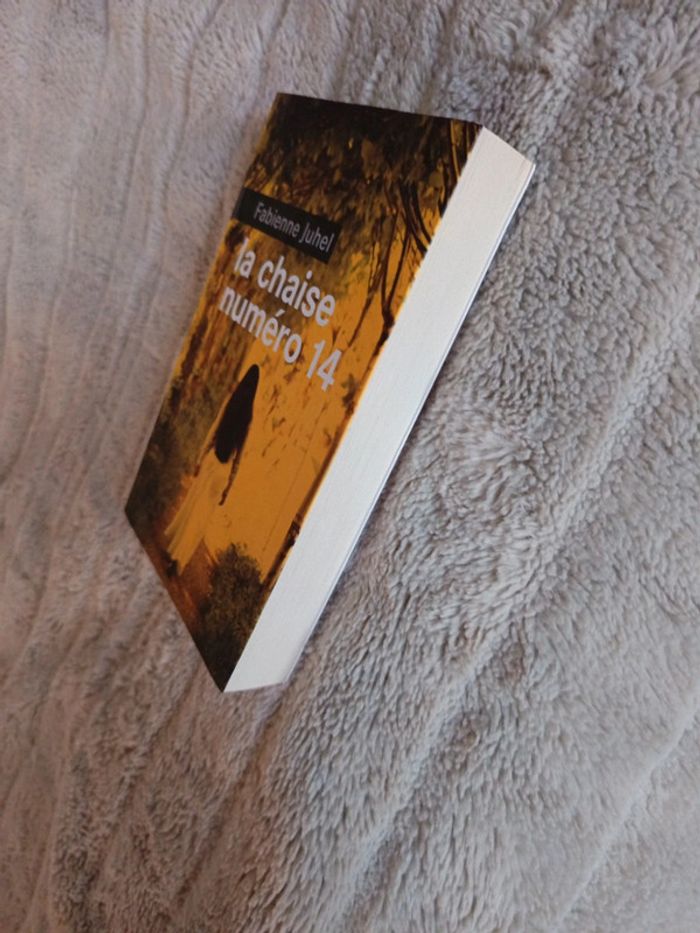 La chaise numéro 14 de Fabienne Juhel - photo numéro 3