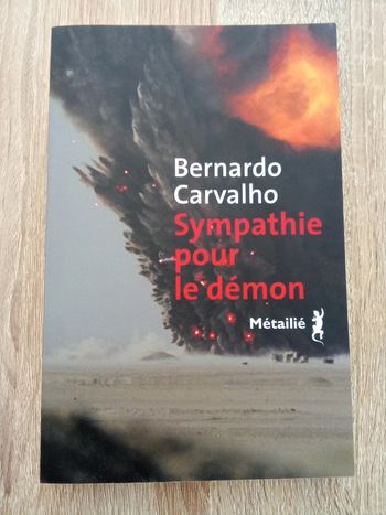 Bernardo Carvalho 🪅 Sympathie pour le démon