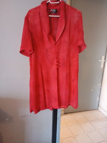 Superbe tunique vintage en voilage