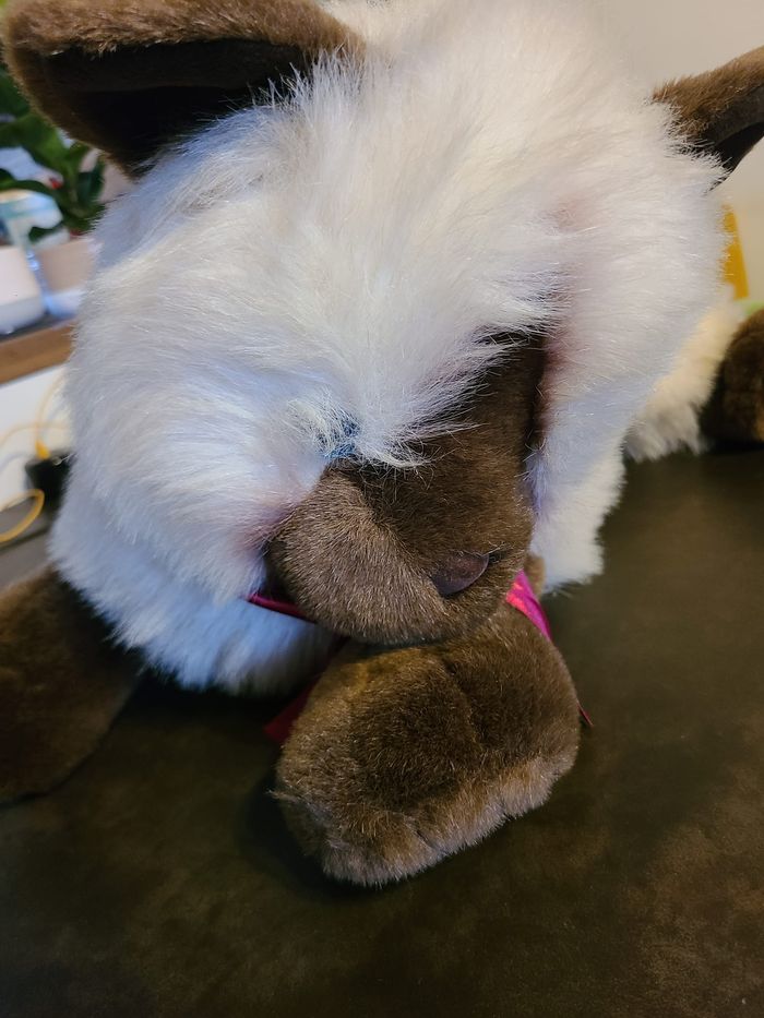 Peluche vintage des années 90 chat siamois créations douces pour le Commonwealth Toys R Us • Kitty - photo numéro 9