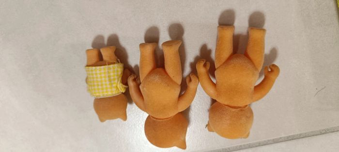 Famille chat - photo numéro 4