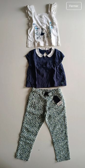 Ensemble :"Château dans le pré"