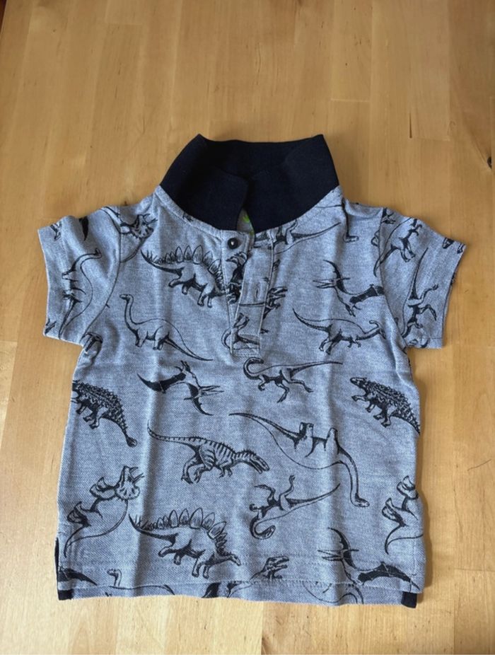 Polo dinosaure