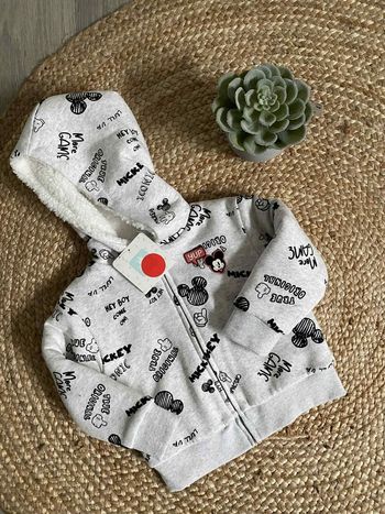 Veste épaisse mickey 23 mois