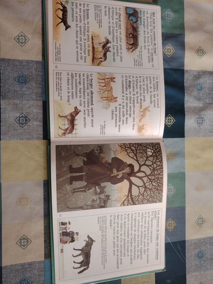 Livre sur le loup - photo numéro 19