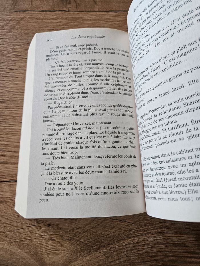 Les âmes vagabonde de Stephenie Meyer - photo numéro 3