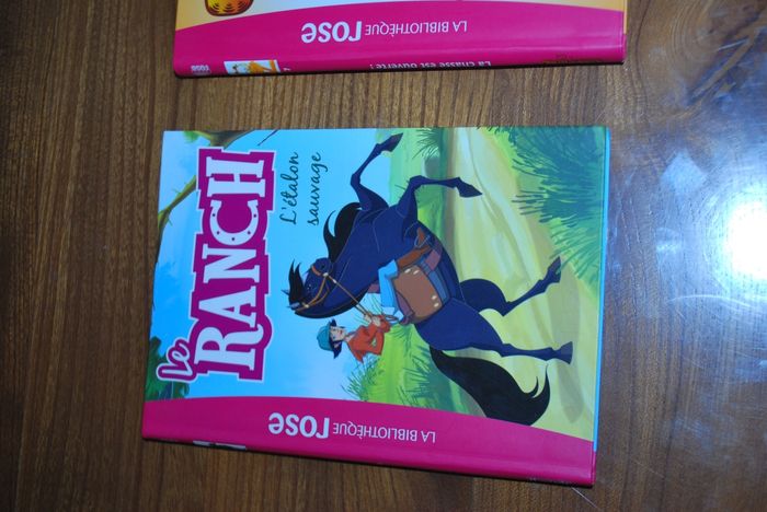 Lot livre - photo numéro 2