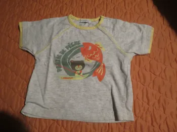 T-shirt taille 12 mois garçon
