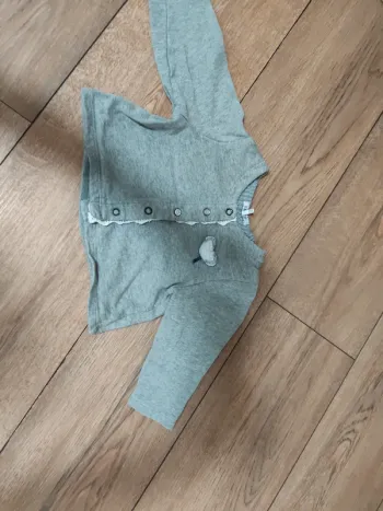 Gilet gris