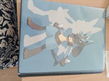 Classeur pokemon