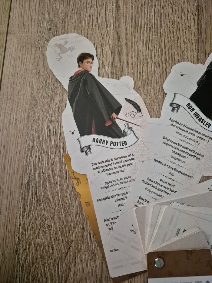 Harry Potter - Mes portraits collector - photo numéro 8