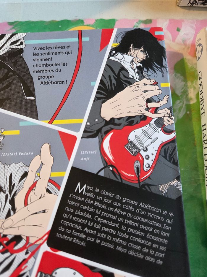 Manga yaoi aux choix - photo numéro 4