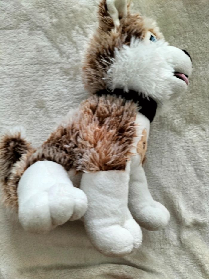 Chien loup  marron et blanc
