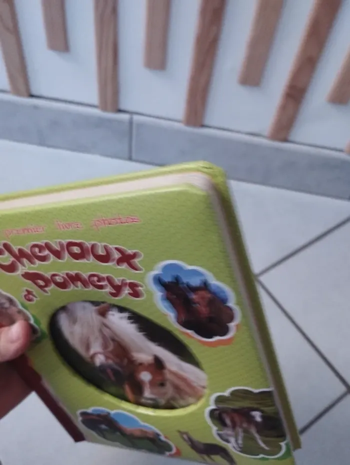 Livre les chevaux et poneys cartonné - photo numéro 7