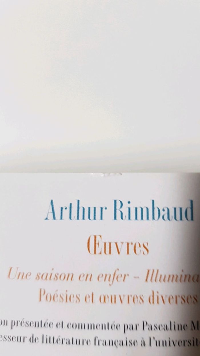 Arthur Rimbaud : Oeuvres - photo numéro 4