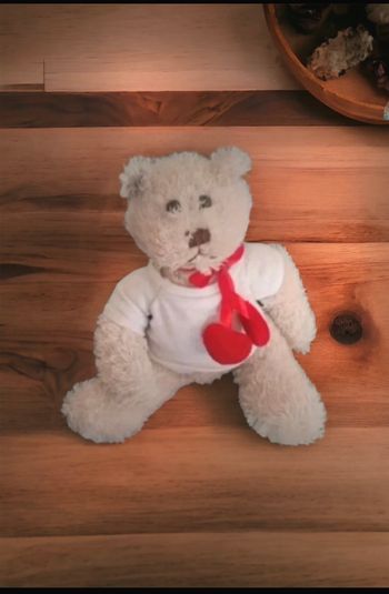 Peluche ours coeur🧸