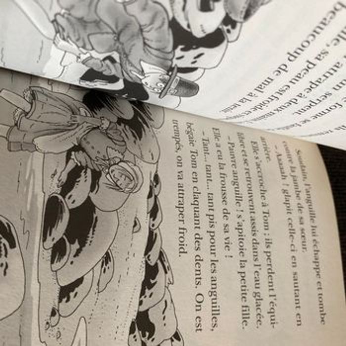 Livre de poche la cabane magique 22 drôles de rencontres en Amérique - photo numéro 5