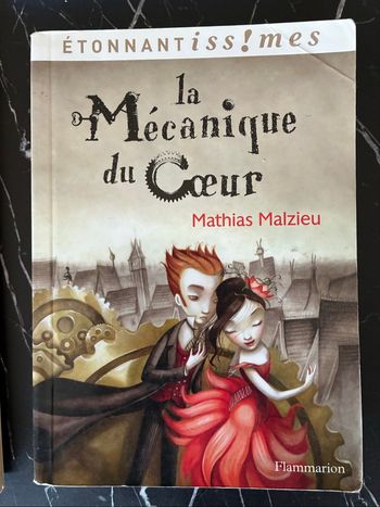 La Mécanique du Cœur  - Mathias Malzieu