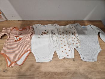 Lot de 4 bodies 12 mois