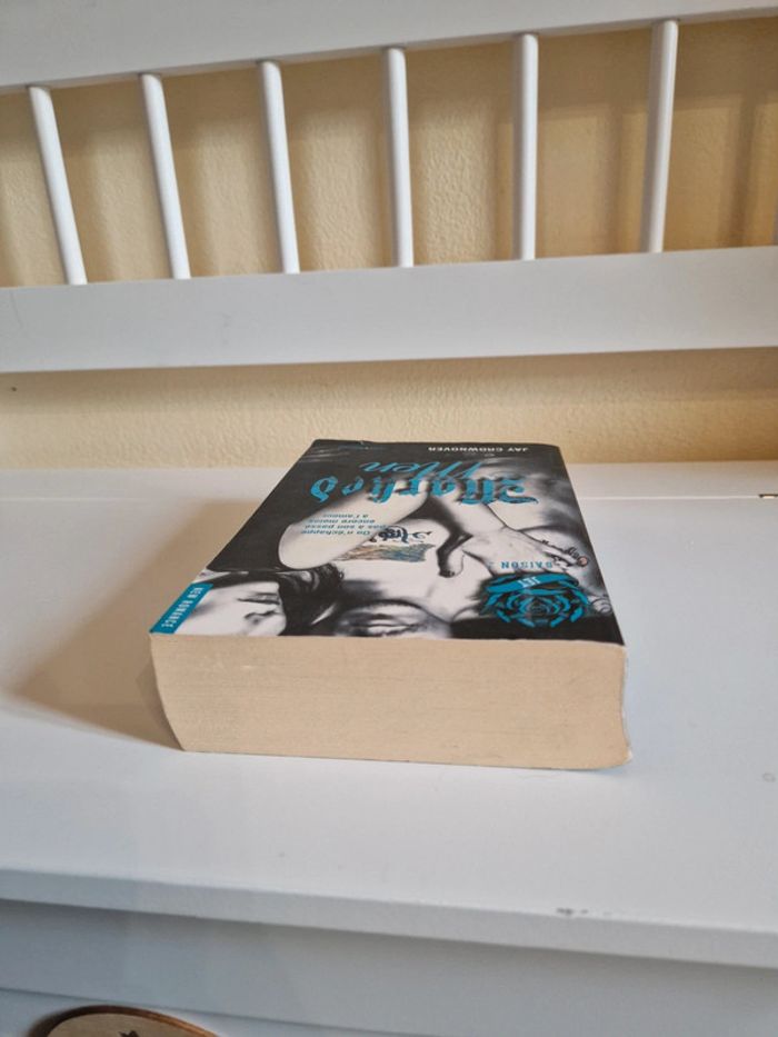 Livre romance - photo numéro 6