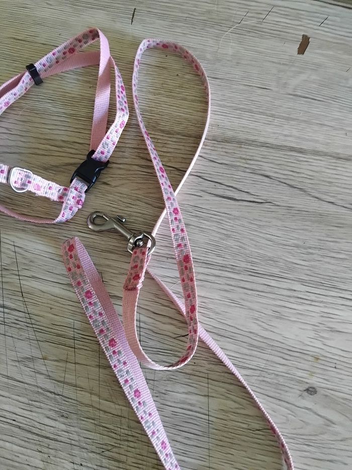Emsemble pour chat neuf - photo numéro 2