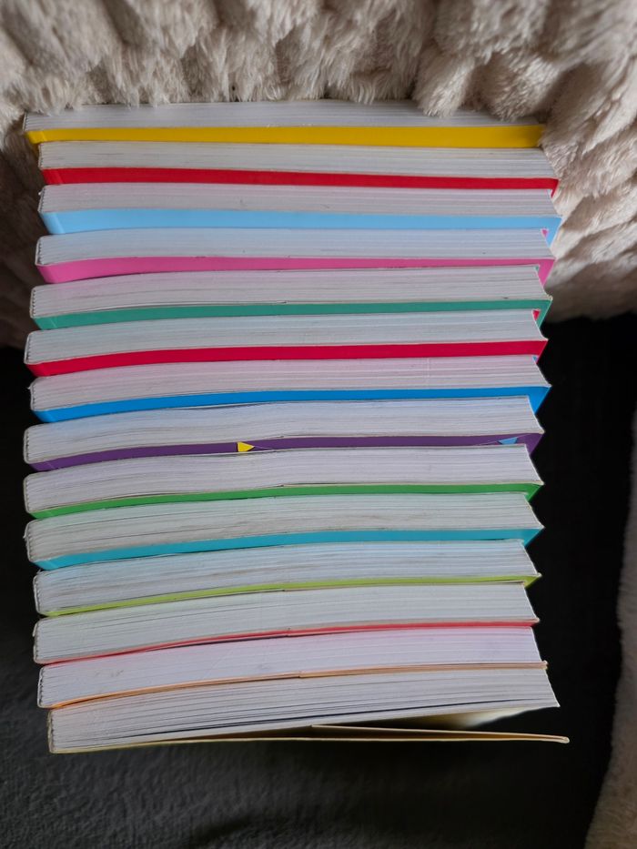 Lots de livres  ariol - photo numéro 3