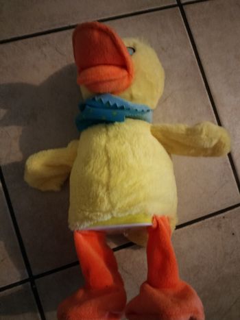 Canard 🦆 qui marche