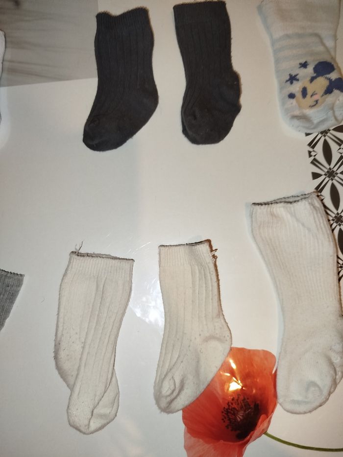 Lot de chaussettes - photo numéro 4