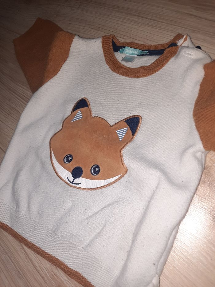 Ensemble renard - photo numéro 5