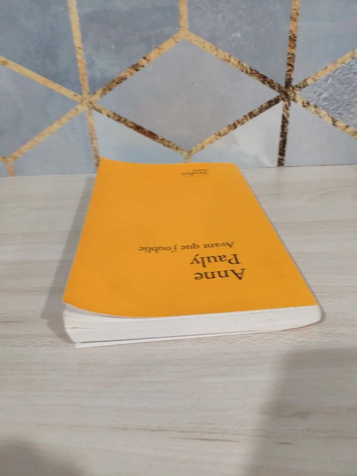Livre grand format Avant que j'oublie Anne Pauly - photo numéro 4